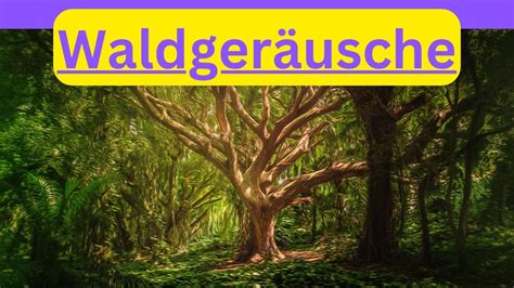 Diese Waldgeräusche können sehr entspannend und beruhigend wirken 7