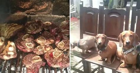 Tiktok Viral Festeja El Cumplea Os De Su Perrita Y Prepara Parrilla