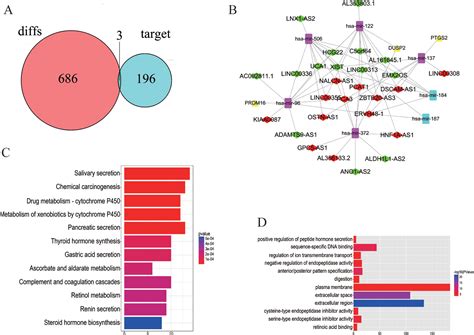 Frontiers Data Mining And Expression Analysis Of Differential Lncrna