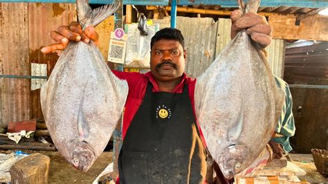 Kasimedu Speed Selvam Black Pomfret Fish Cutting In Kasimedu Hd