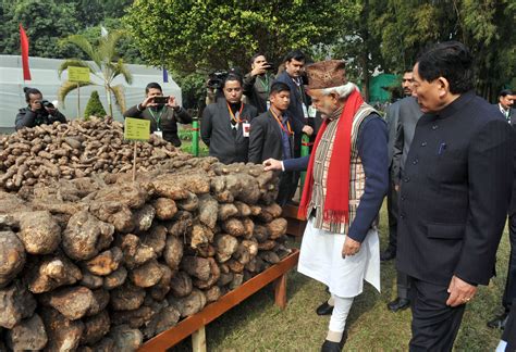 Organic Farming In Sikkim In Six Bullet Points Smart Indian Agriculture