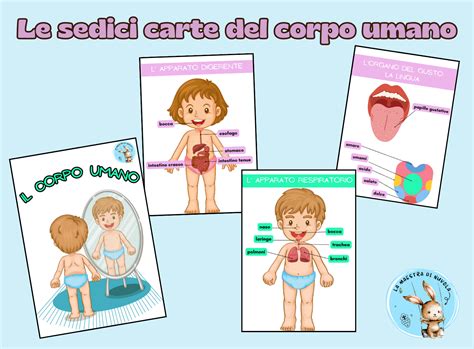 Le Carte Del Corpo Umano Edudoro