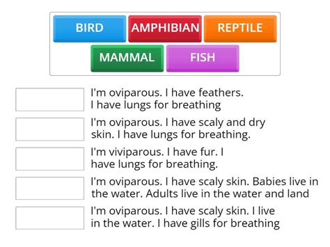 Vertebrates characteristics 1 - المطابقة 