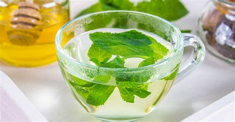 Qual O Melhor Chá Para Refluxo - Melhores chás para refluxo que tratam e aliviam os sintomas