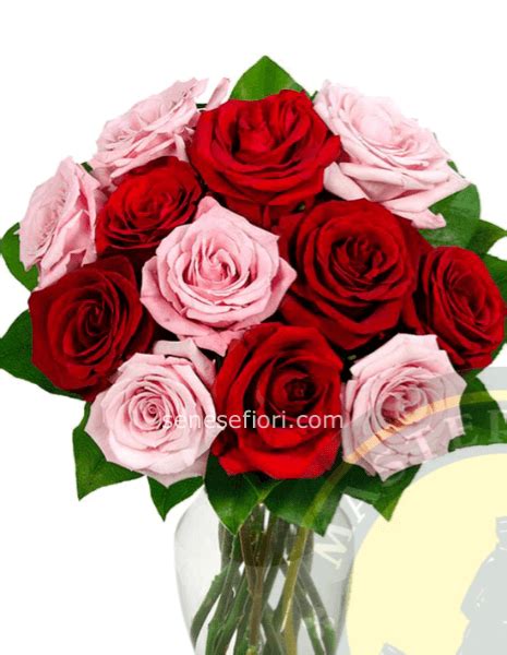 Bouquet Rose Rosa E Rosse Ecuador Top Senese Fiori Napoli Acquisto