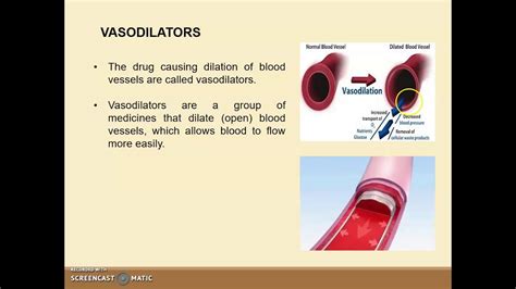 Cardiovascular Drugs Vasodilators Youtube