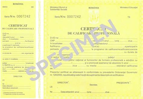 Certificat De Calificare Emis De M M J S M E N