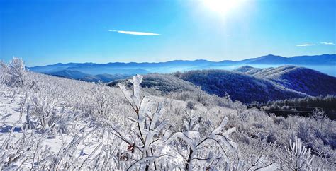 Does It Snow in North Carolina? See Snowiest Places, Timing, and ...