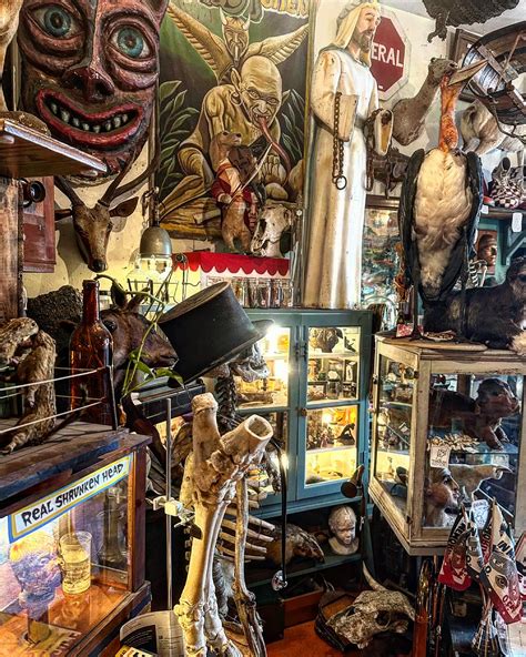 Woolly Mammoth Oddities