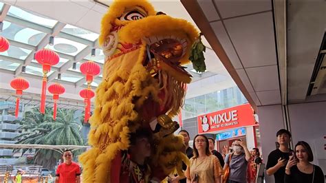 CNY2024 舞獅采青 Múa Lân Lion Dance Cai Qing by Zhong Yi 雪蘭莪中藝