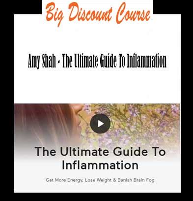 Amy Shah The Ultimate Guide To Inflammation Bigdiscountcourse