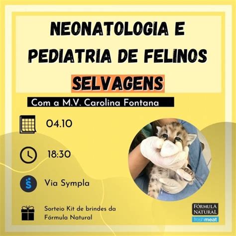 Neonatologia E Pediatria De Felinos Selvagens Online Sympla