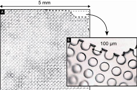 Figure From Large Scale Integrated D Microfluidic Networks Through