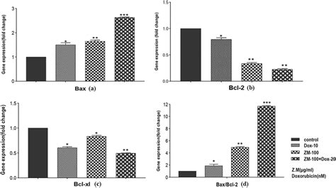 Fold Change Gene Expression Graph Presents That ZME And DOX Upregulate