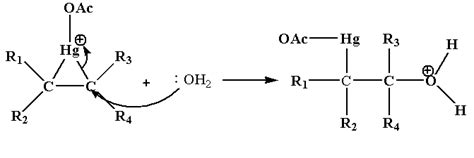 Please show the mechanism of Oxymercuration – demercuration? Give an ...