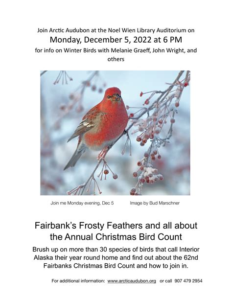 Fairbanks Frosty Feathers And All About The Christmas Bird Count — Arctic