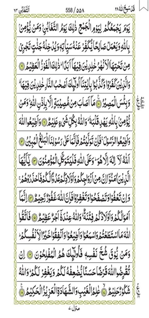 Surah At Taghabun Smart Quran Academy