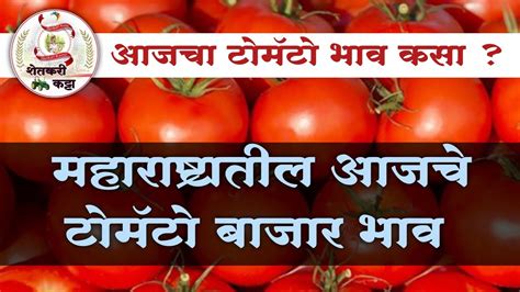 महाराष्ट्रातील आजचे टोमॅटो 🍅 भाव कसे टोमॅटो भाव Tomato Bajar Bhav Today Tomato News