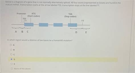 Solved Below Is A Diagram Of A Gene That Is Not Normally Chegg