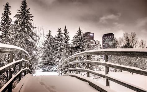 HD *** Winter In Calgary *** Wallpaper | Download Free - 63796