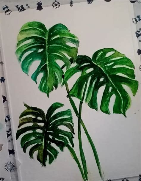 Step By Step Watercolor Tutorial Paint Stunning Monstera Leaves