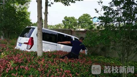 女司機錯把油門當剎車 連車帶人沖入綠化帶 每日頭條