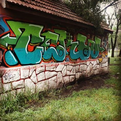 Graffiti Cerdo Argentina Mar Del Plata Instagram Cerdo O