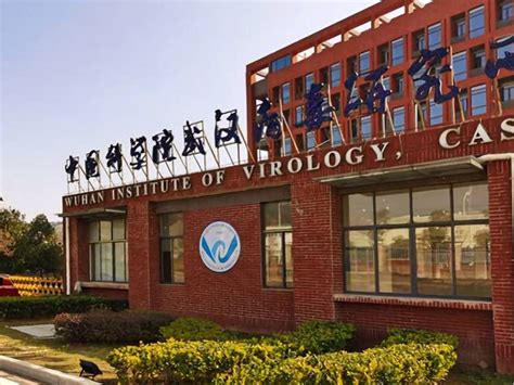 ¿Qué pasa si la filtración del coronavirus del laboratorio de Wuhan es ...