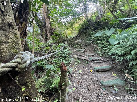 【行程規劃】苗栗泰安溫泉。鳥嘴山。水雲吊橋。虎山。享受自然芬多精 1817box部落格