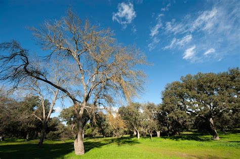 Instantes Fotos De Sebasti N Navarrete Casa De Campo Madrid Siete