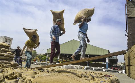 Govt Imposes Stock Limits On Wheat To Check Hoarding Price Rise