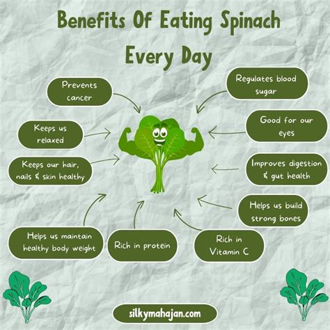 Top 10 Benefits Of Spinach For Weight Loss Silky Mahajan