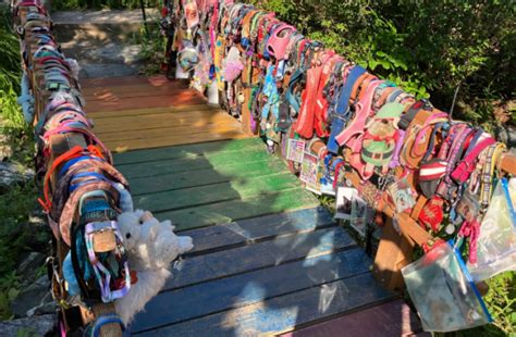 Artist Created Rainbow Bridge In Lake Lure To Remember Pets The Hyperhive