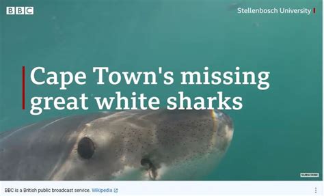 Oceans: The Great White Shark Decline Off Cape Town, South Africa (BBC ...