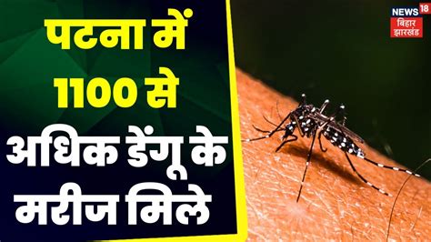 Bihar Dengue News बहर म तज स बढ रह डग क परकप Top