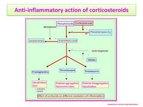 Ppt Topically Applied Corticosteroids Powerpoint Presentation Free