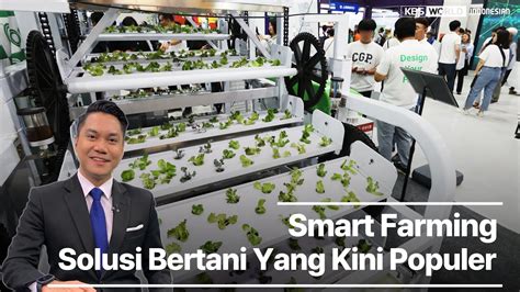 Smart Farming Solusi Bertani Yang Kini Populer Di Korsel Youtube