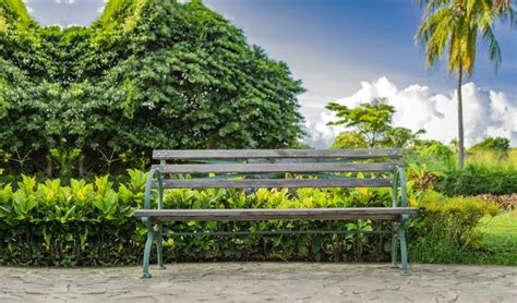 Park Bench Top View Stock Photos, Images and Backgrounds for Free Download