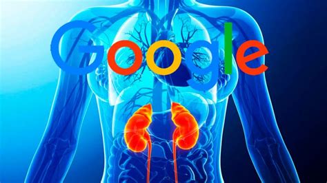 Un Algoritmo De Google Puede Detectar Insuficiencia Renal Antes Que