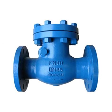 Stainless Steel Ansi Lbs Gost Din Industrial Flanged Check Valve Non