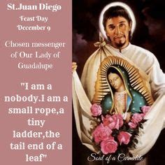 55 SAINT JUAN DIEGO CANONIZATION ideas | blessed mother, virgin of ...