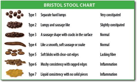 Bowel Movement Chart Meaning Picture And Types Healthhype