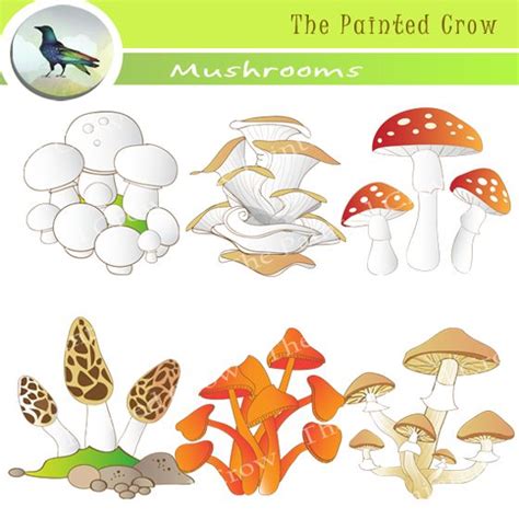 Decomposers Clipart R N Clip Art Library 960 The Best Porn Website