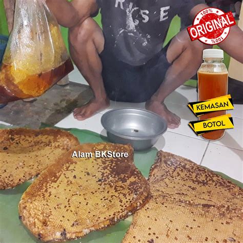 Jual Madu Odeng Madu Sarang Lebah Asli Madu Apis Dorsata Hutan Asli