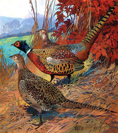 Pheasants Painting By Lynn Bogue Hunt Pixels