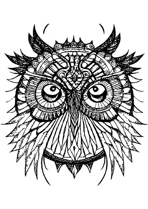 Owl Mandala Coloring Page Creative Fabrica