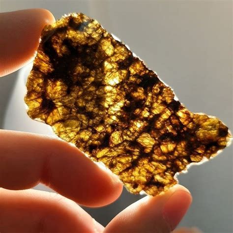 Nwa Diogenite Meteorite From Vesta Translucent Slice G