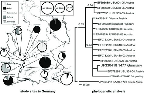 Locations Of Study Sites In Germany And Phylogenetic Analysis Of Usutu