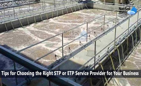 Tips For Choosing The Right Stp Or Etp Provider For Your Business