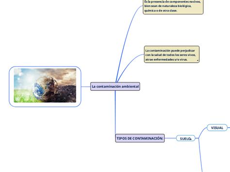 La Contaminación Ambiental Mind Map